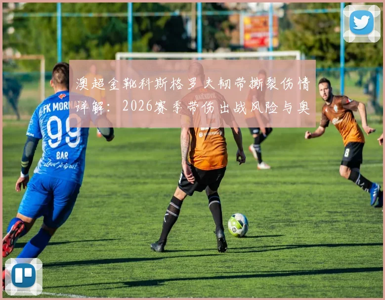 澳超金靴科斯格罗夫韧带撕裂伤情详解：2026赛季带伤出战风险与奥克兰城锋线调整分析