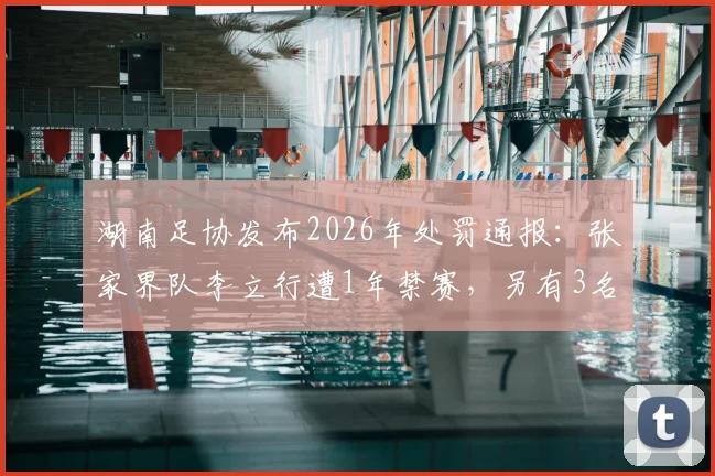 湖南足协发布2026年处罚通报：张家界队李立行遭1年禁赛，另有3名球员被罚半年，业余足球赛场纪律引关注